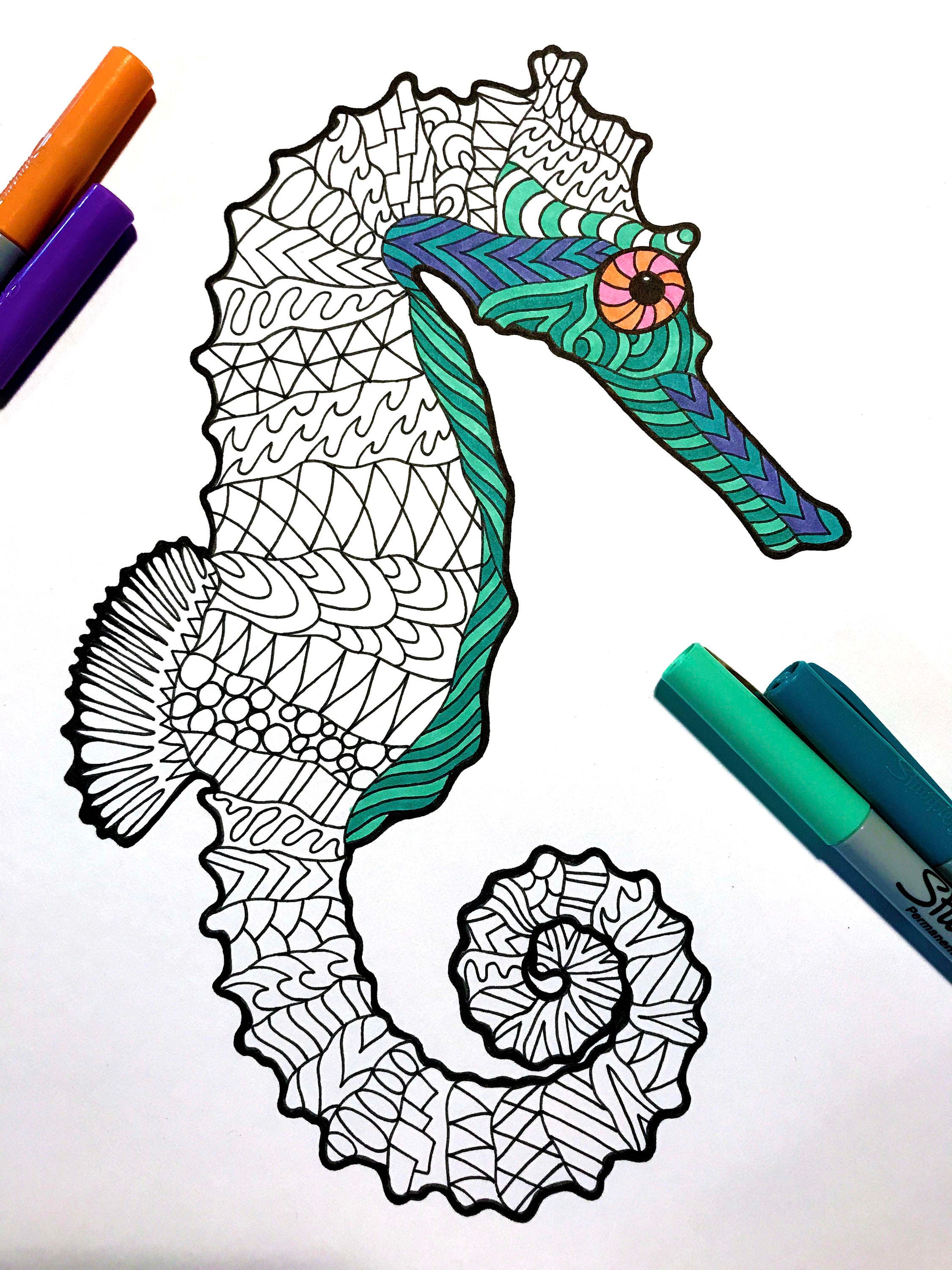 Seahorse PDF Animal Coloring Page - Etsy