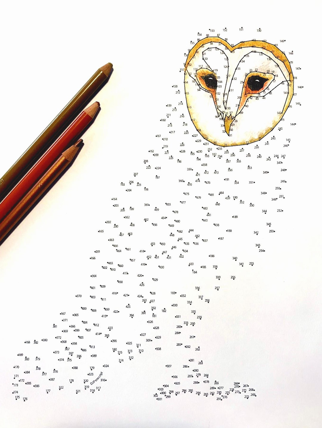 Barn Owl - Extreme Dot to Dot - PDF Activity and Coloring Page - Etsy
