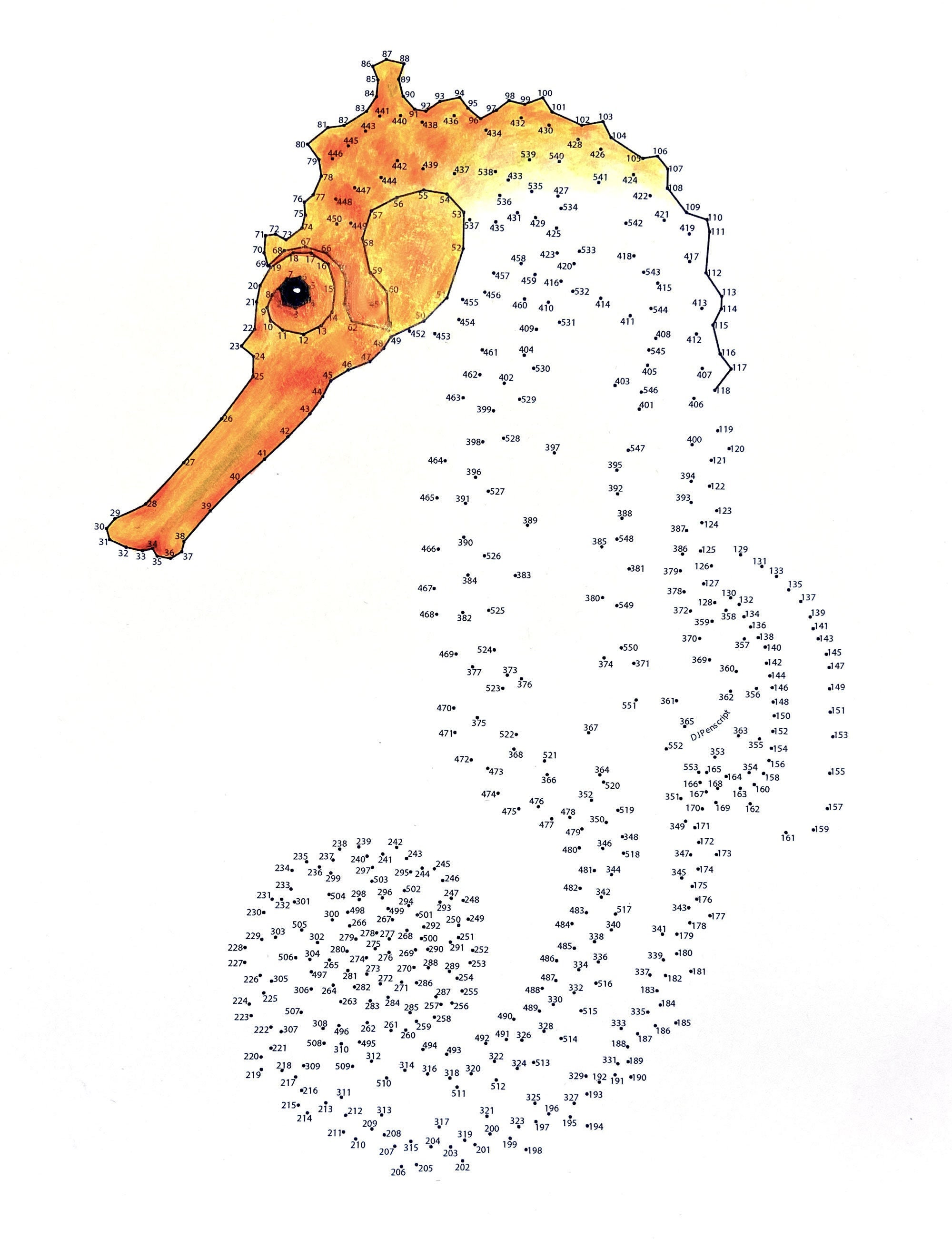 Seahorse Extreme Dot To Dot Pdf Activity And Coloring Page Etsy Hong Kong