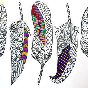Feathers - PDF Coloring Page