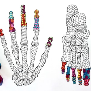 Hand and Foot Bones - PDF Anatomy Coloring Page