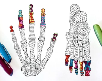 Hand and Foot Bones - PDF Anatomy Coloring Page