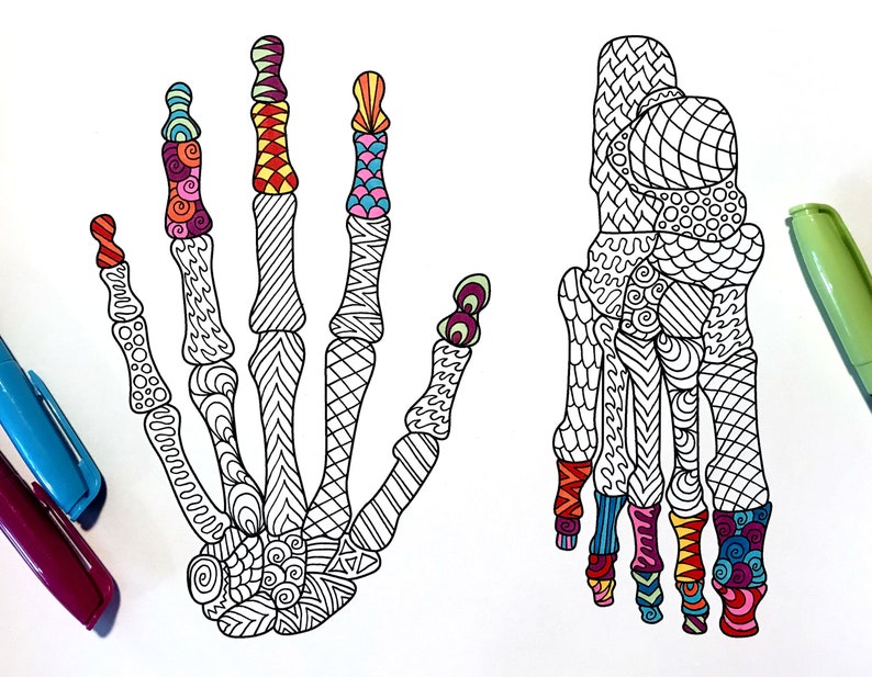 Download Hand and Foot Bones PDF Zentangle Coloring Page | Etsy