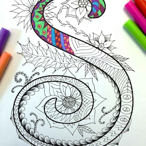 May include: A black and white line drawing of the letter 'S' with intricate floral designs and swirls. The letter is surrounded by flowers and leaves.