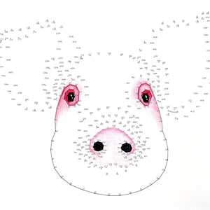 Pig - Extreme Dot to Dot - PDF Activity and Coloring Page