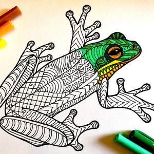Frog - PDF Animal Coloring Page