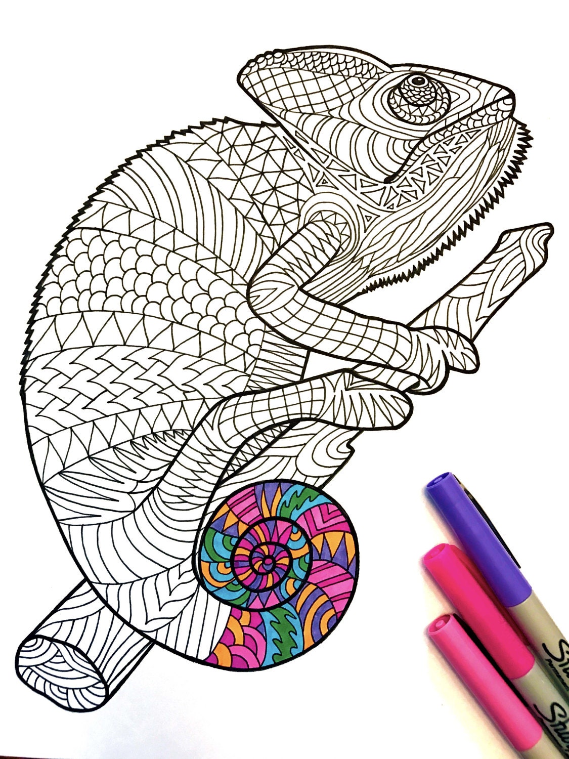 Chameleon Markers Pens Adult Coloring Books Bible -  Israel