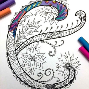 May include: A black and white line drawing of a paisley design with intricate details. The design is filled with flowers, leaves, and swirls. The paisley is coloured in with bright colours, including pink, blue, green, and yellow.
