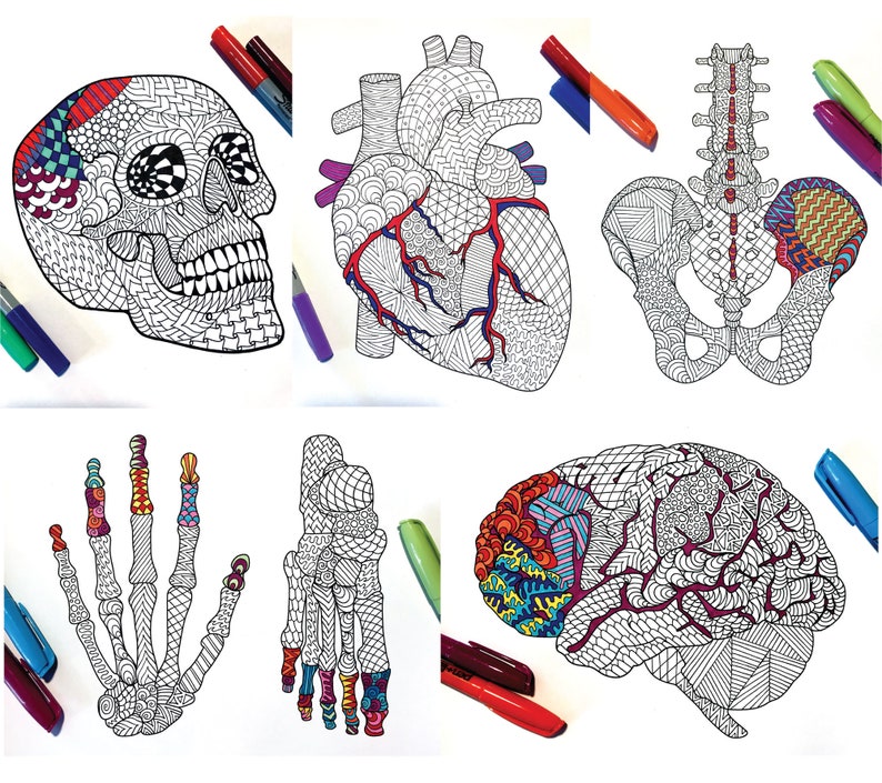Anatomy Collection Set of 10 PDF Zentangle Coloring Pages ...
