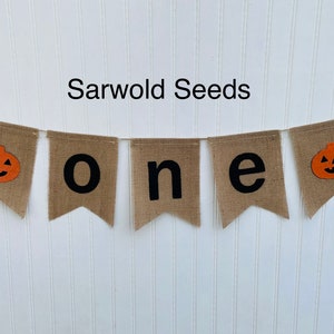 READY TO SHIP  Pumpkin First Birthday Burlap Banner
