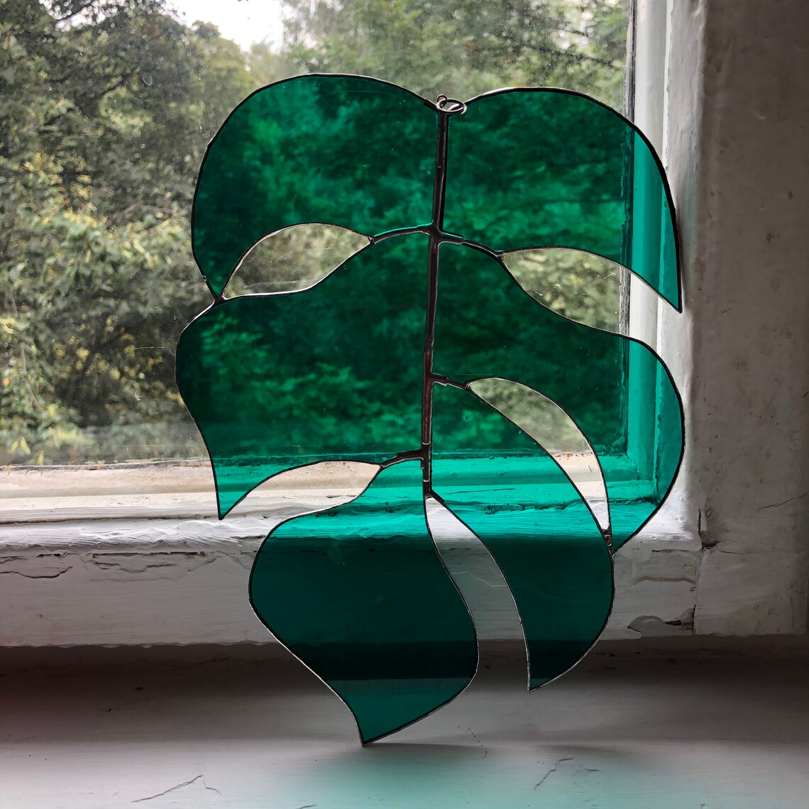 Best Window For Monstera