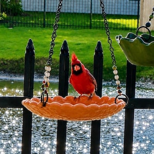 May include: A bright orange, scalloped-edge ceramic bird feeder hanging from black metal chains with decorative beads. A vibrant red northern cardinal with a black face mask stands in the center of the shallow, circular dish, facing forward.