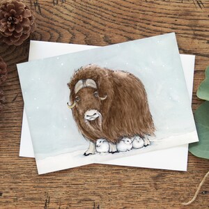 Carte de Noël Buffle musqué 5 x 7 pouces - Carte de vœux « Arrière-pays » avec Buffle musqué et lièvres arctiques - Carte de correspondance vierge - Cartes d'art aquarelle Canada