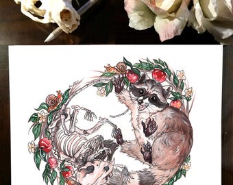 Racoon and Skeleton Art Print: Anatomy & Nature, (8.5x11 or 5x7)
