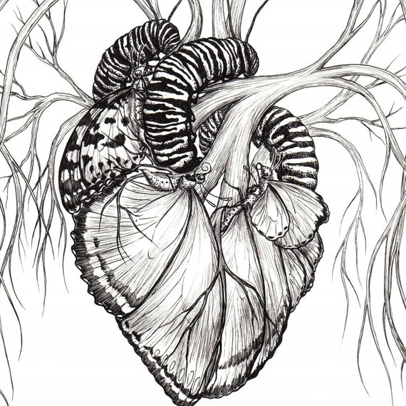 Butterfly Heart Fine Art Print, 5x7 or 8.5x11 - Etsy