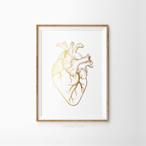 Empreinte cardiaque anatomie - Empreinte cardiaque anatomique - Impression anatomique - Affiche médicale - cadeau pour médecins - Cœur anatomique en or - Imprimable