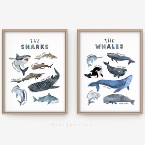 Playroom prints, Whales and Sharks poster, Ocean animals poster, Whales and Sharks species, Educational posters, Playroom wall decor, Prints