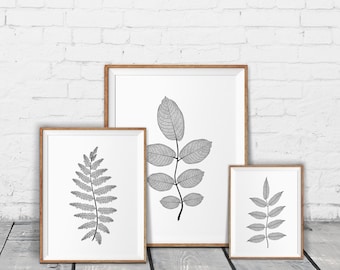 Minimalist decor, Minimal wall art, Pencil leaf drawings, Contour botanical art, Botanical prints, Minimalist prints, Black and white