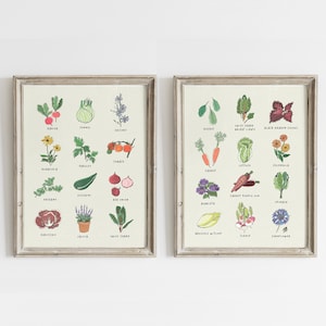 Garten Poster, Druckbare Gartenkunst, Küche Wandkunst Set, Esszimmer Drucke, Botanische Illustration, Garten säen Druck