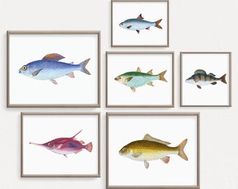 Saltwater Fish Wall Art, Vintage Underwater illustrations, Beach House Decoration, Fisherman Gift