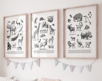 Animals of the World Poster: Black and White Sketch Print (set of