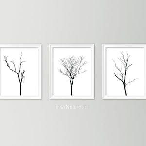 Set of 3 tree branch art Monochrome botanical art Botanical art set Black and white art prints Minimalist decor Tree posters image 1