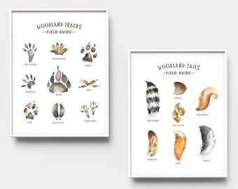 Woodland field guide print, Animal tracks and tails, Forest Field Guide, Fun prints for kids,  Animal paw prints, Boys room wall art