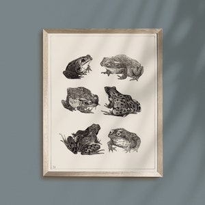 Kröten Poster druckbar, Kröten Wandkunst, Halloween Dekor, Vintage rustikales Bauernhaus, Krötenarten Print