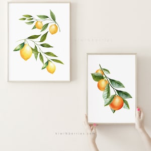 Citrus Botanical Prints, Lemons and Oranges wall art, Citrus Art, Farmhouse Decor, Printable Home DIY, Kitchen Posters,Kitchen Wall Hangings
