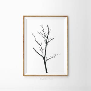 Set of 3 tree branch art Monochrome botanical art Botanical art set Black and white art prints Minimalist decor Tree posters image 4