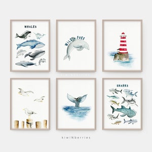 Ocean prints for kids, Whales and sharks Species, Sea Wall Art, Sea Animals poster, Whales and Sharks print, Illustration, Chart art