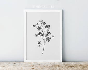 Minimalistischer schwarz-weißer Pflanzendruck: Botanische Kunst (Digitaler Download)