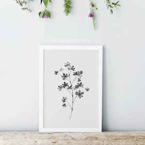 Minimalist Black and White Plant Print: Botanical Art (Digital Download)