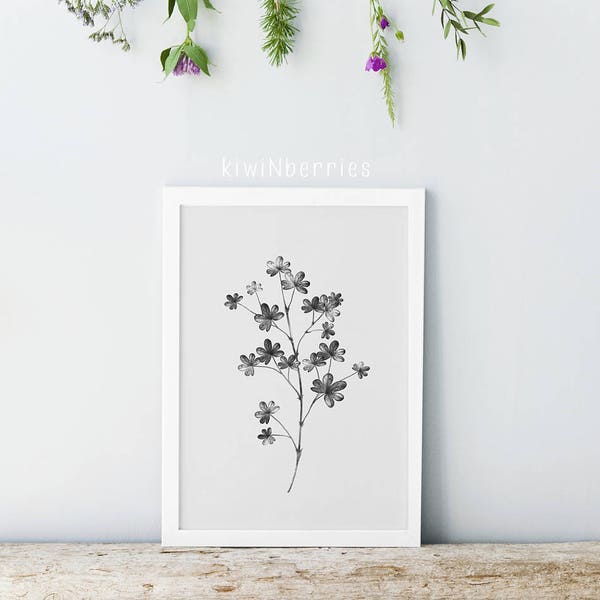 Plant print - Minimalist botany art - Botanical art prints - Black and white leaf - Modern home decor - Minimalist decor - Printable leaves