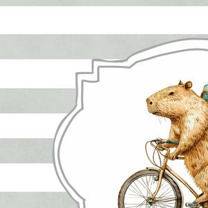 May include: A watercolour illustration of a capybara riding a bicycle on a white background with grey stripes. The capybara is brown and has a white helmet on its head.