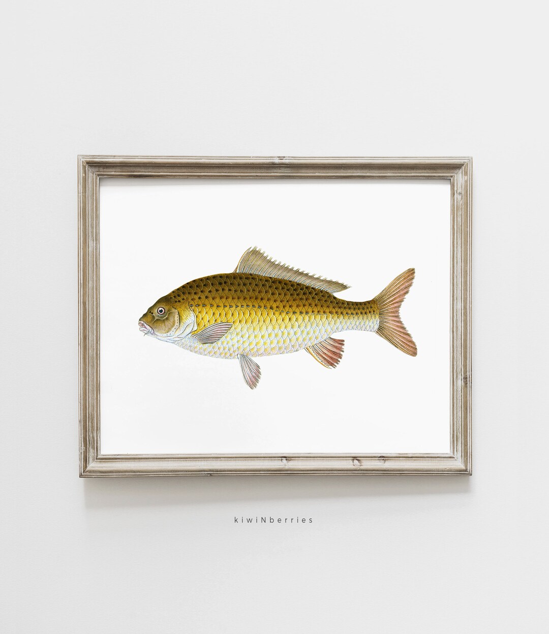 Yellow Fish Print, Printable Fishing Gift, Vintage Fish Drawing, Nature
