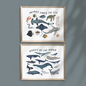 Whales of the World Print: Nautical Ocean Animals Art (Set of 2) (Digital Download)