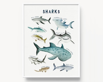 Impresión de cartas de tiburones, Impresiones educativas, Especies de tiburones, Arte de pared marina oceánica, Póster de animales marinos, Impresión de tiburones, Ilustración, Póster de tiburones