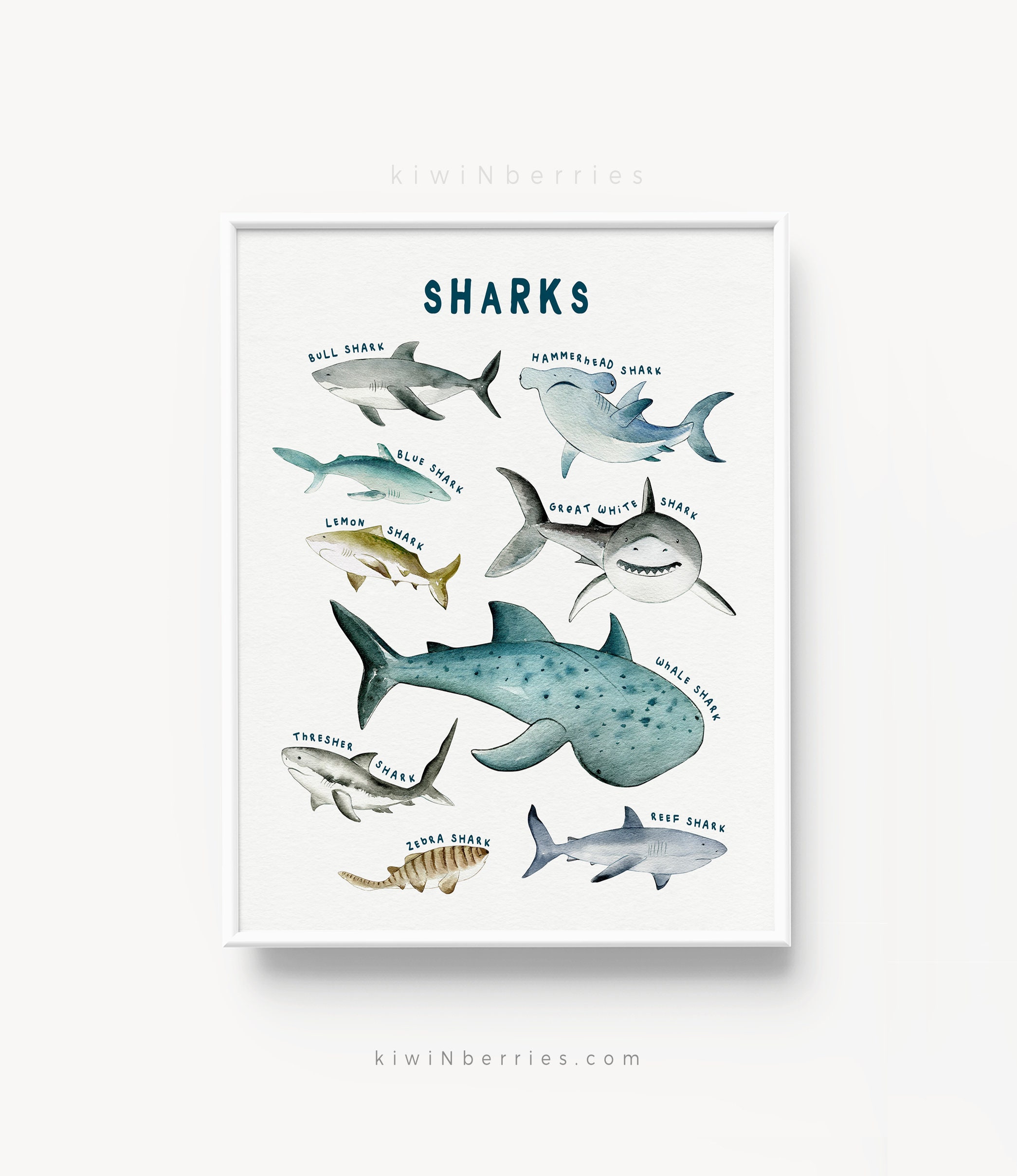 Fantasy Sharks Rankings - zmwla38