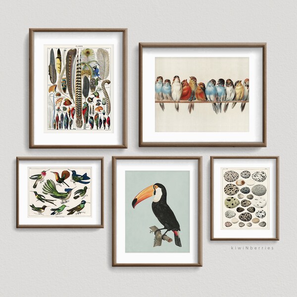 Vintage Gallery Wall Prints, Birds Ornithology Posters, Printable Vintage Art, Birds Set of prints Digital, Feathers eggs hummingbirds nest
