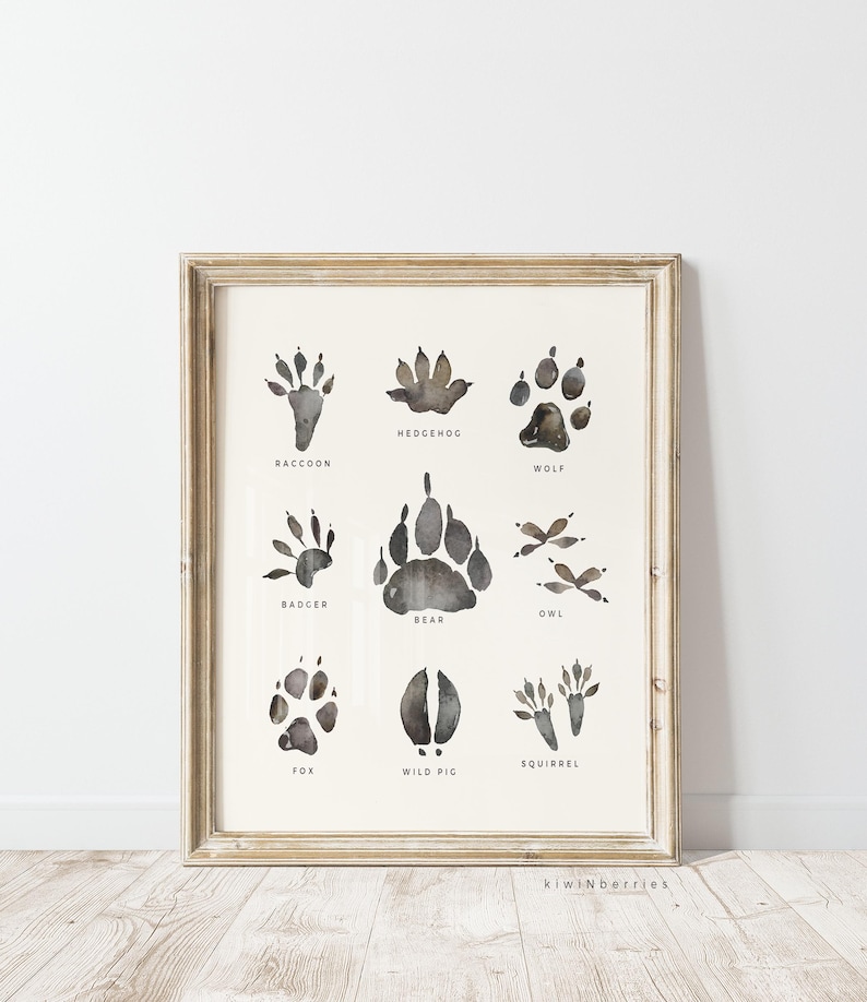 Woodland Tracks Print, Printable Camping Poster, Forest Animal Paw