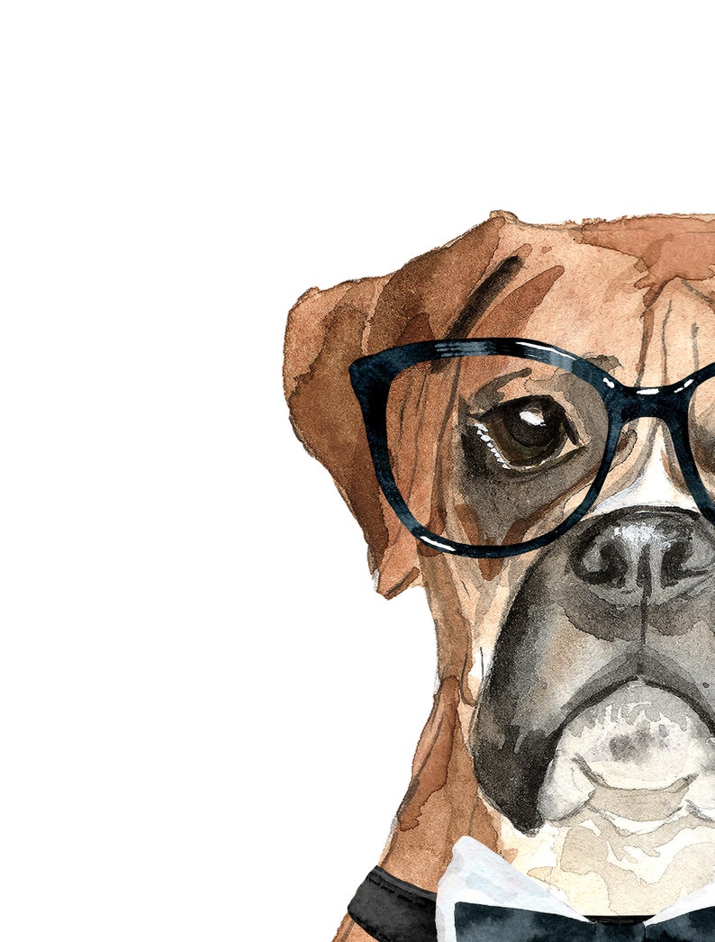 May include: A watercolour painting of a brown and white boxer dog wearing black-rimmed glasses and a black bow tie. The dog is looking directly at the viewer.