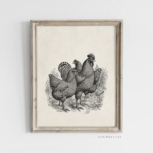 Esboço de impressão de galinha, arte digital de galinha, decoração de casa de fazenda vintage, preto e bege, desenho de animais de fazenda, desenhado à mão, pôster country, galo de galinha