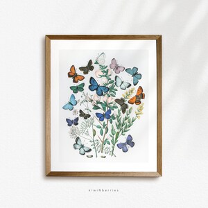 Butterfly Print, Butterfly bouquet Poster, Flying Butterfly wall art, Bohemian wall art, Vintage Colorful wall art, Butterfly wall art,