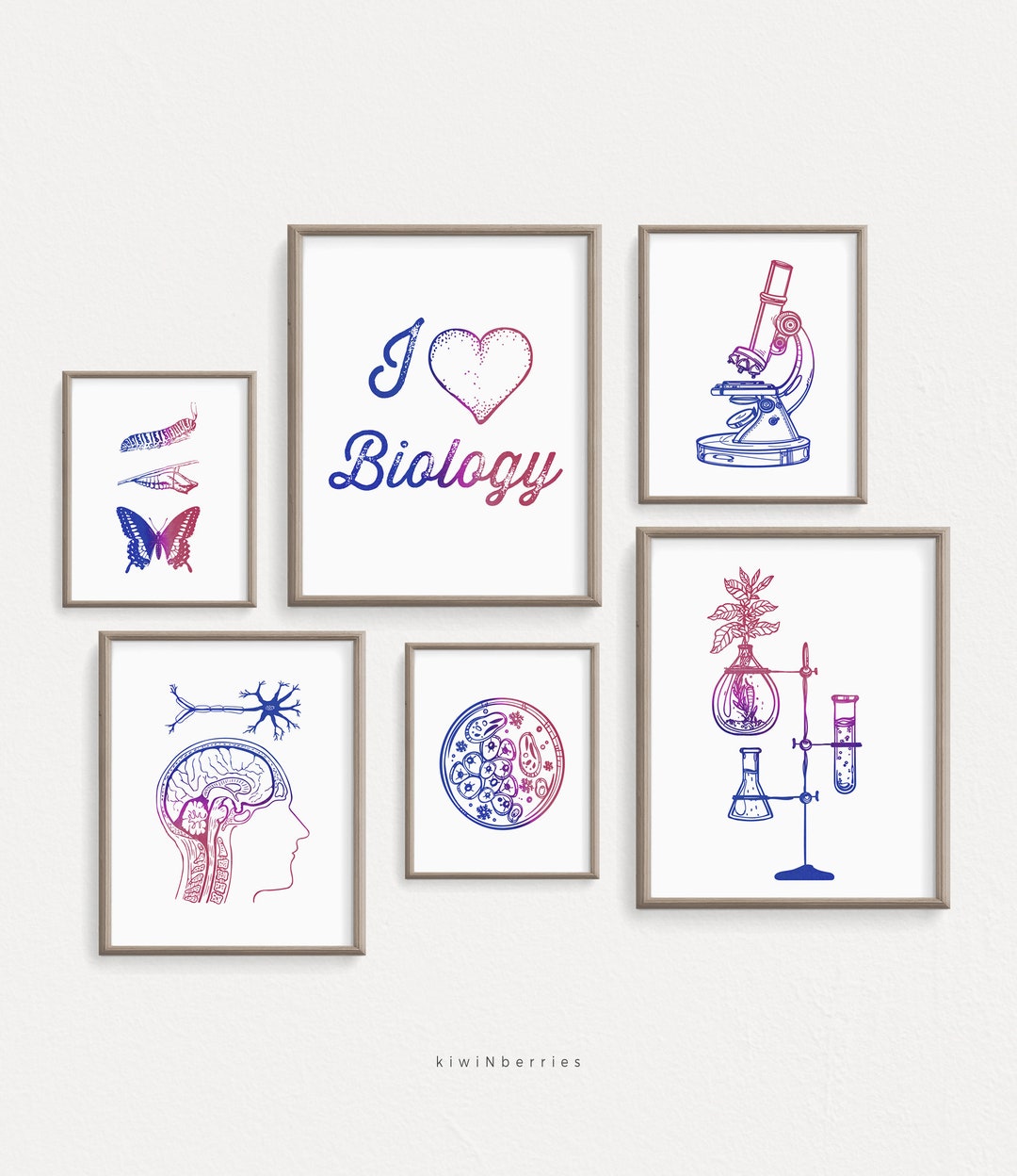 Biology Posters, Science Prints, Classroom Gallery Wall, Red Blue, High ...