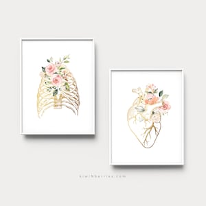 Puede incluir: Dos impresiones de arte imprimibles que presentan ilustraciones anat&oacute;micas doradas de una caja tor&aacute;cica y un coraz&oacute;n, cada una adornada con delicadas flores de acuarela rosa y blanca.