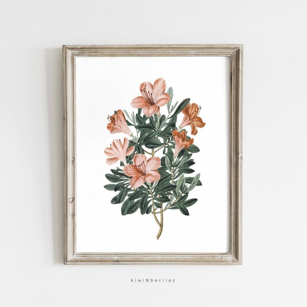 Orange Azalea Print, Antique Printables, Azalea Flower Poster, Muted neutral Wall Art, Floral Botanical Digital Art