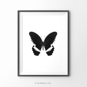 Butterfly Print Set - Monochrome Decor - Minimalist Home - Black and ...