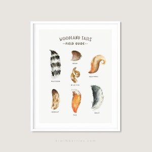Könnte beinhalten: Eine Aquarell-Illustration von Waldtier-Schwänzen. Die Schwänze sind mit dem Namen des Tieres beschriftet: Waschbär, Bär, Eichhörnchen, Wildschwein, Rotluchs, Fuchs und Wolf. Der Titel der Illustration lautet "Woodland Tails - Field Guide -" und die Website kiwinberries.com befindet sich unten.