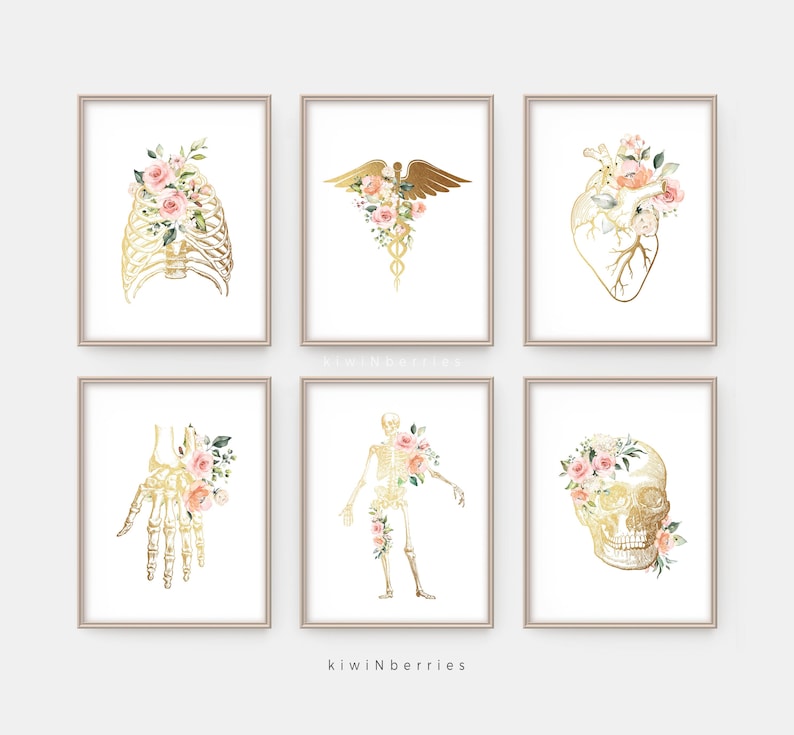 Medical Print Set Anatomy Printable Art Doctor Gift Medical Etsy